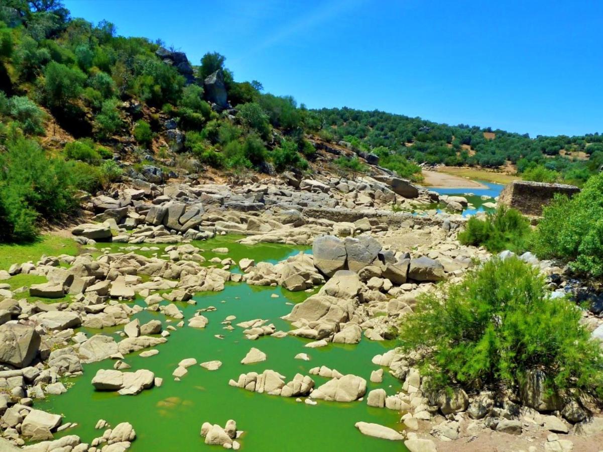 6 Persoons Vakantiewoning Portugal - Casa Do Balao - En - Casa Pequeno Pintor Figueira e Barros Εξωτερικό φωτογραφία